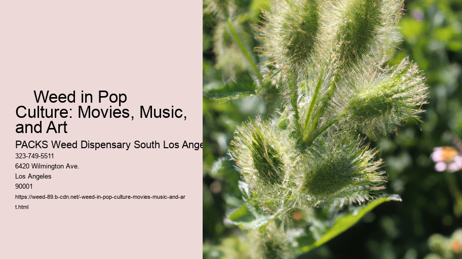     Weed in Pop Culture: Movies, Music, and Art